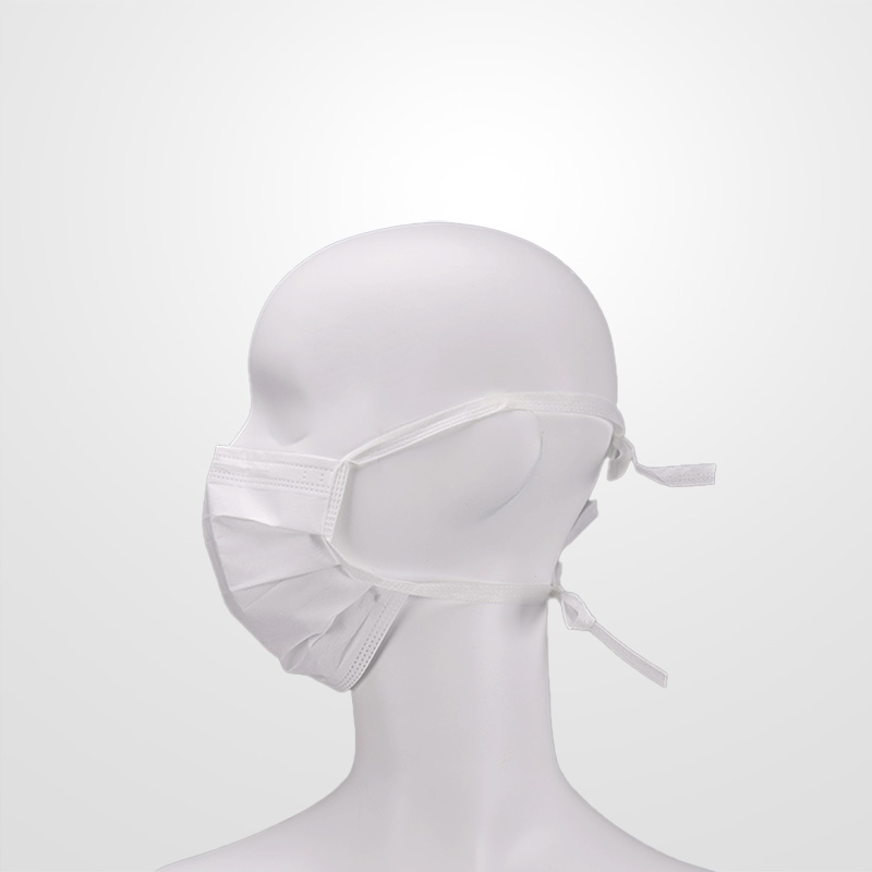 F1301 Cleanroom Face Masks